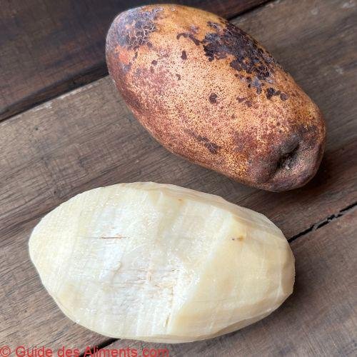 Mangifera kemanga