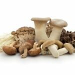 champignons populaires japonais