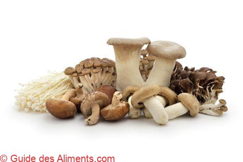 champignons populaires japonais