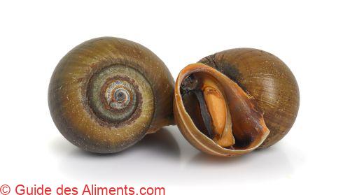 escargot-pomme (Pomacea canaliculata)