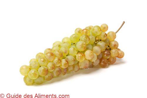 Chasselas