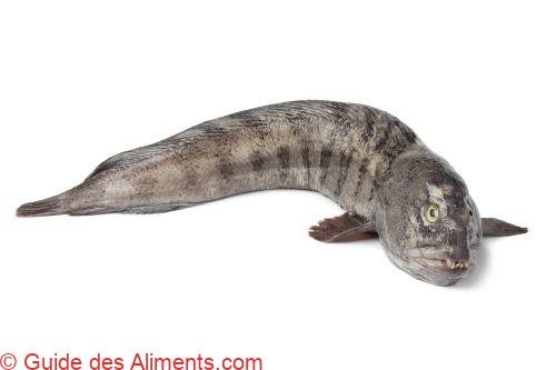 poisson-loup