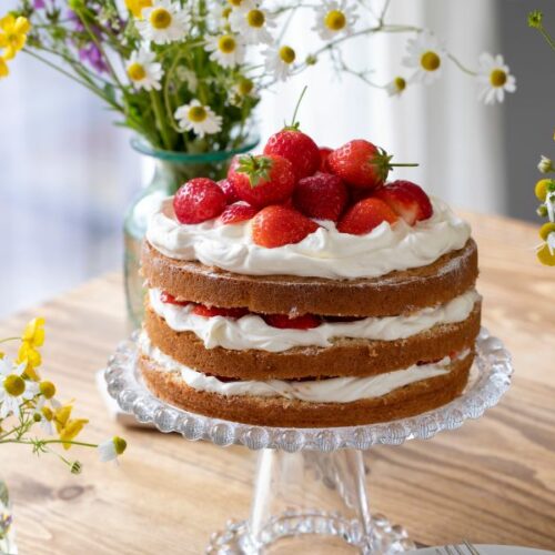 Jordgubbst&aring;rta