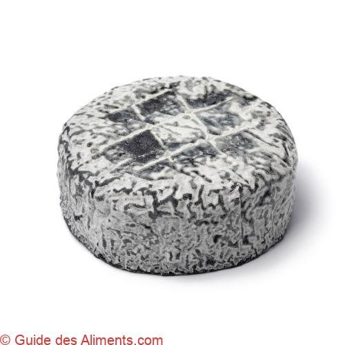 Petit Chèvre d'Anjou