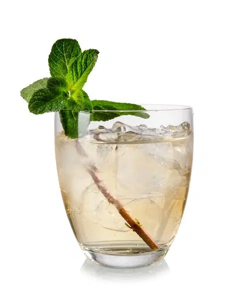 Rebujito