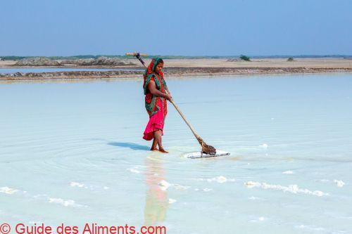 Sel du désert de Thar