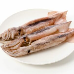 Toutenon japonais (Todarodes pacificus)