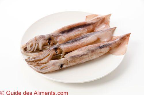 Toutenon japonais (Todarodes pacificus)