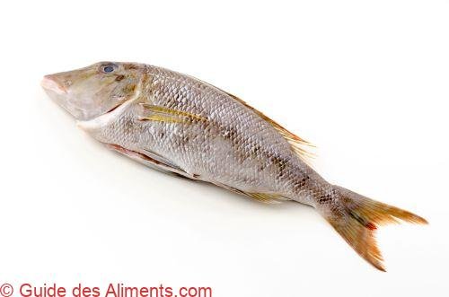 bec de cane bleuté (Lethrinus nebulosus)