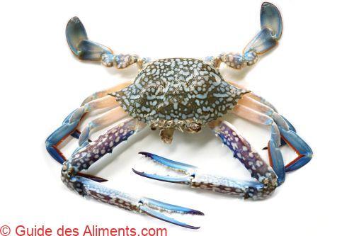 étrille bleue (Portunus pelagicus)