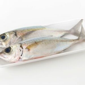 p&ecirc;che-cavale (Selar crumenophthalmus)