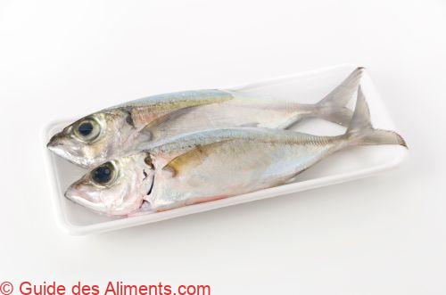 pêche-cavale (Selar crumenophthalmus)