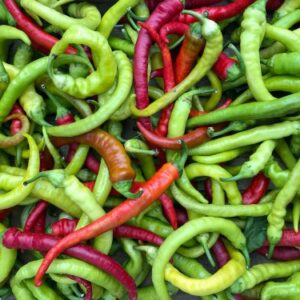 aj&iacute; cacho de cabra