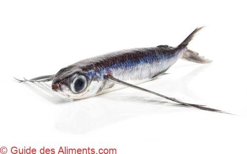poisson volant