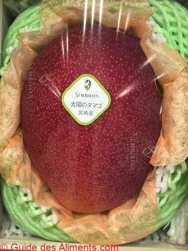 Mangue Taiyō no tamago