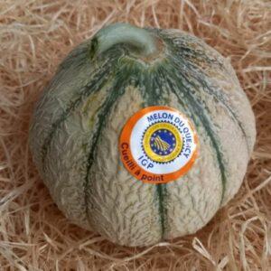 melon du Quercy IGP