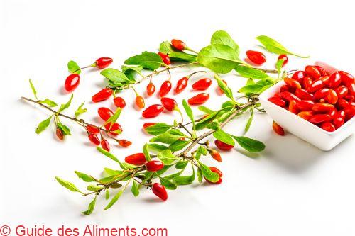 pousses de baies de goji