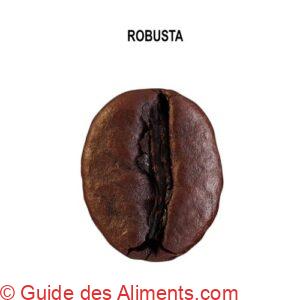 café Robusta