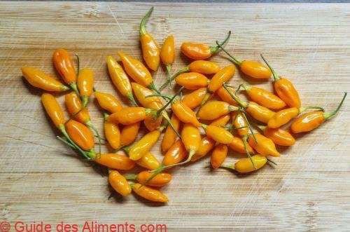 Piment Golden Nugget