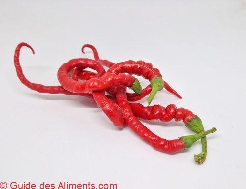 piment thunder mountain longhorn