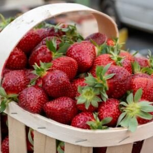 Fraises de Nîmes